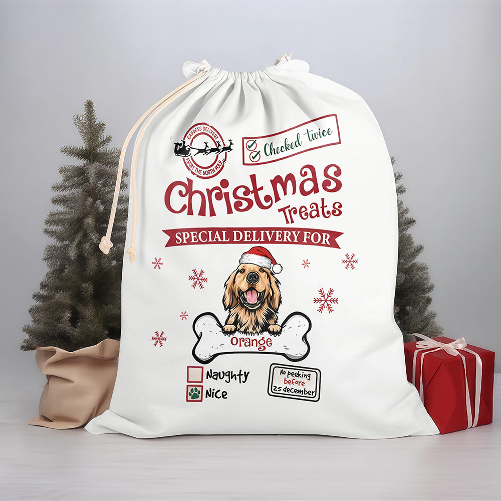 Christmas Treats Special Delivery For Dog Christmas Sack 896845