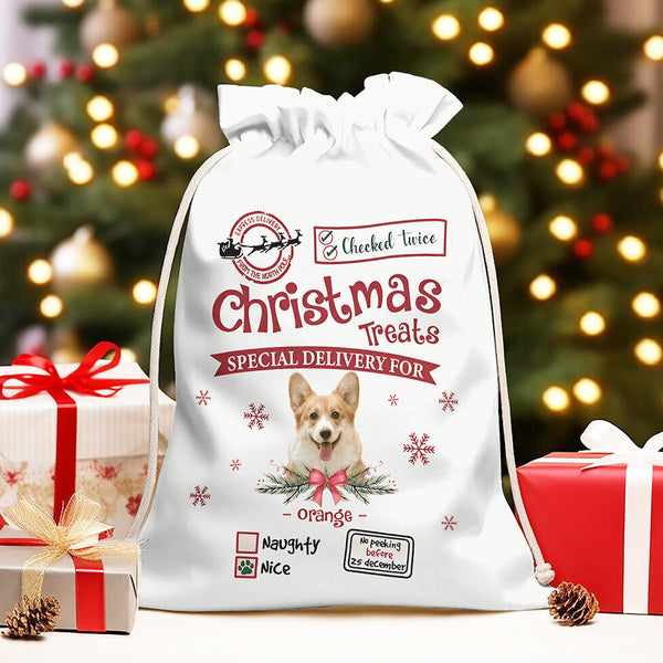 Christmas Treats Special Delivery For Dog Christmas Sack 896845