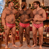 Personalized Funny Hairy Chest Men's Christmas Pattern Underwear Onesie Pajamas HO82 903686