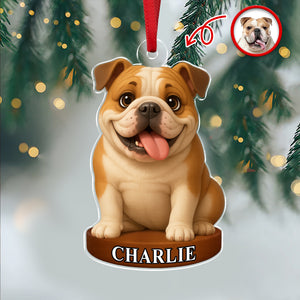 Custom Photo Dog 3D Effect Figure Art Acrylic Ornament Gifts For Dog Cat Lovers HA75 897434