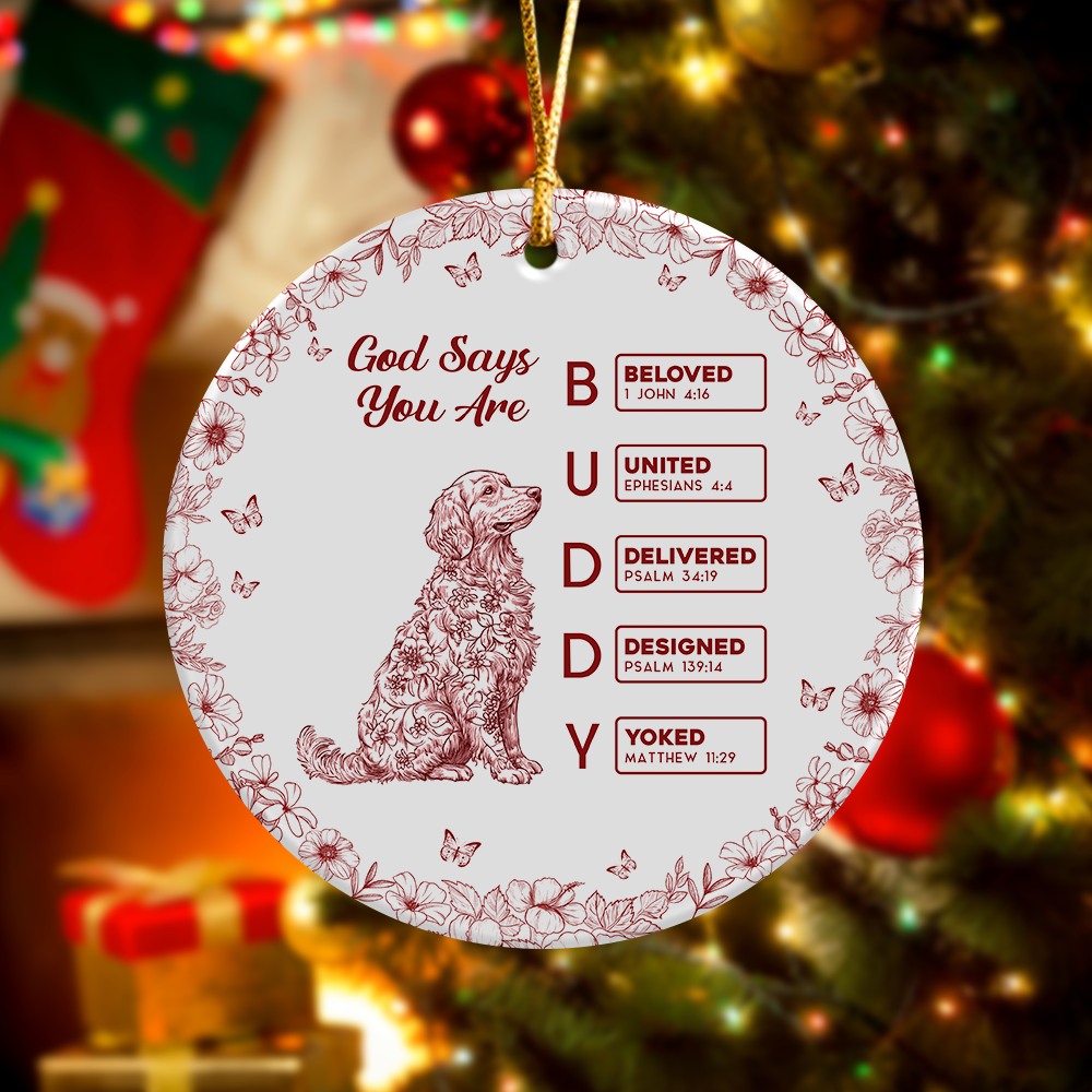 God says I Am Personalized Dog Breeds Chinoiserie Toile De Jouy Style Ceramic Ornament CH07 899242