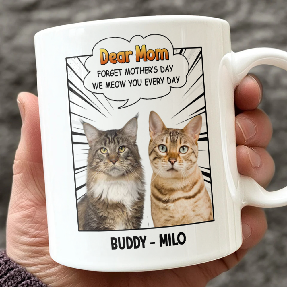 Forget Mother’s Day We Meow You Every Day Cat White Mug Personalized Gift For Cat Mom HO82 893706