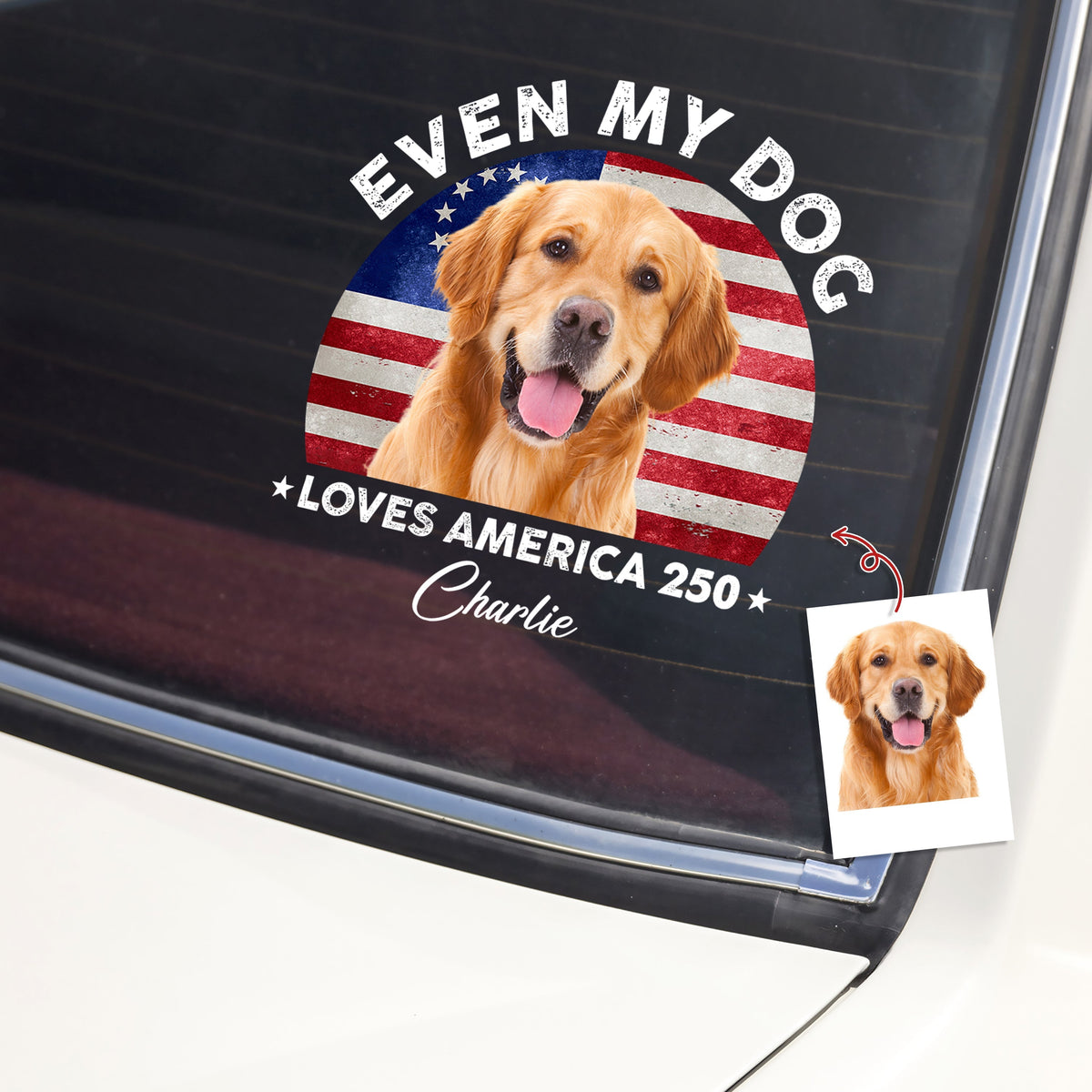 Custom Photo Even My Dogs Love US 250 Sticker HO82 900450