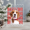 Personalized Dog Cat Photo Vintage Acrylic Ornament, Christmas Gift For Pet Lovers TH10 170993