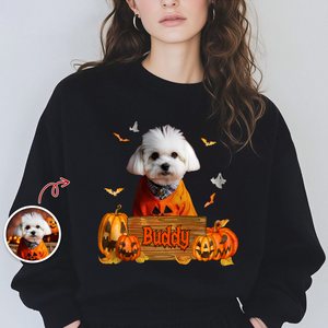 Custom Dog Cat Photo Halloween Witch Dark Shirt HO82 894996