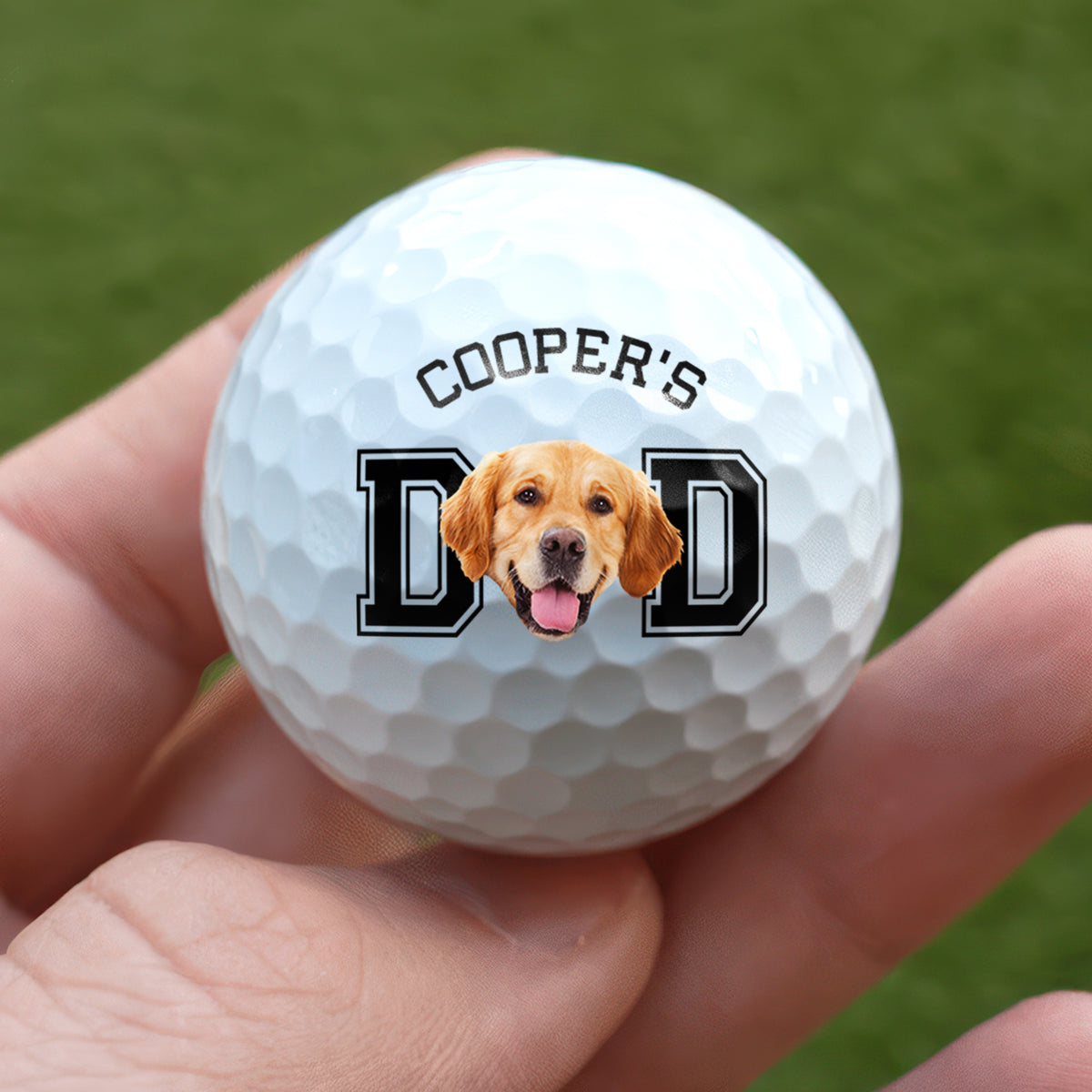 Custom Photo Dog Cat Dad Mom Golf Ball Gift For Pet Lovers HA75 921336