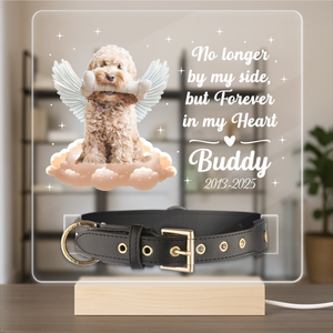 Custom Photo Dog Loss Memorial Acrylic Collar Frame CH07 896072