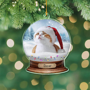 Custom Photo Cat Snowglobe Acrylic Ornament HA75 891600