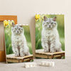 Custom Dog Cat Photo Rectangle Building Brick Blocks Gift For Dog Cat Lovers HA75 892514