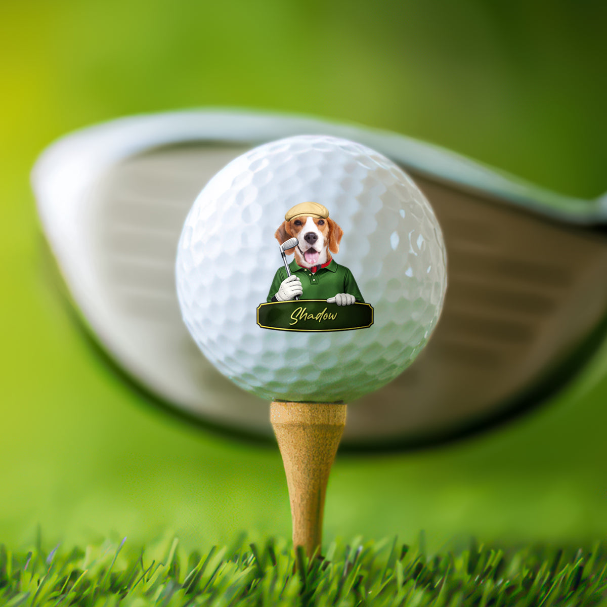 Custom Cute Cartoon Pet Character Photo With Name Golf Ball TH10 169781