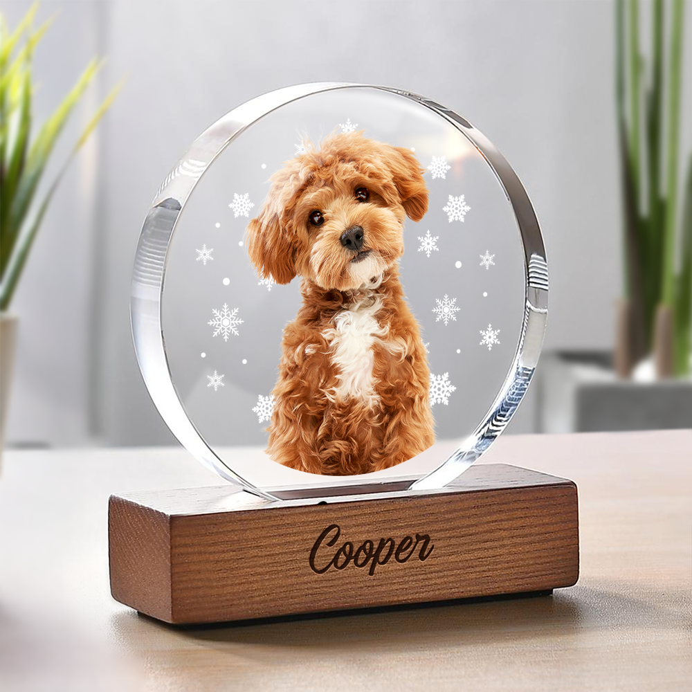 Custom Photo With Snowflake For Pet Lover Round Acrylic Frame Block TH10 894313