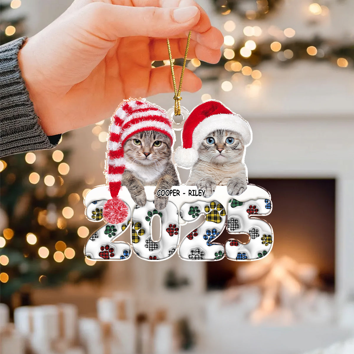 Custom Photo Acrylic Ornament Christmas Gifts For Dog Cat Lovers HA75 898200