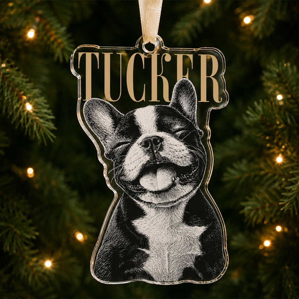 Custom Pet Face Vintage Style Acrylic Ornament LM32 669619