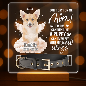 Custom Photo I Can Run Like A Puppy, I Can Even Fly With My New Wings - Memorial Personalized Acrylic Collar Frame CH07 896090