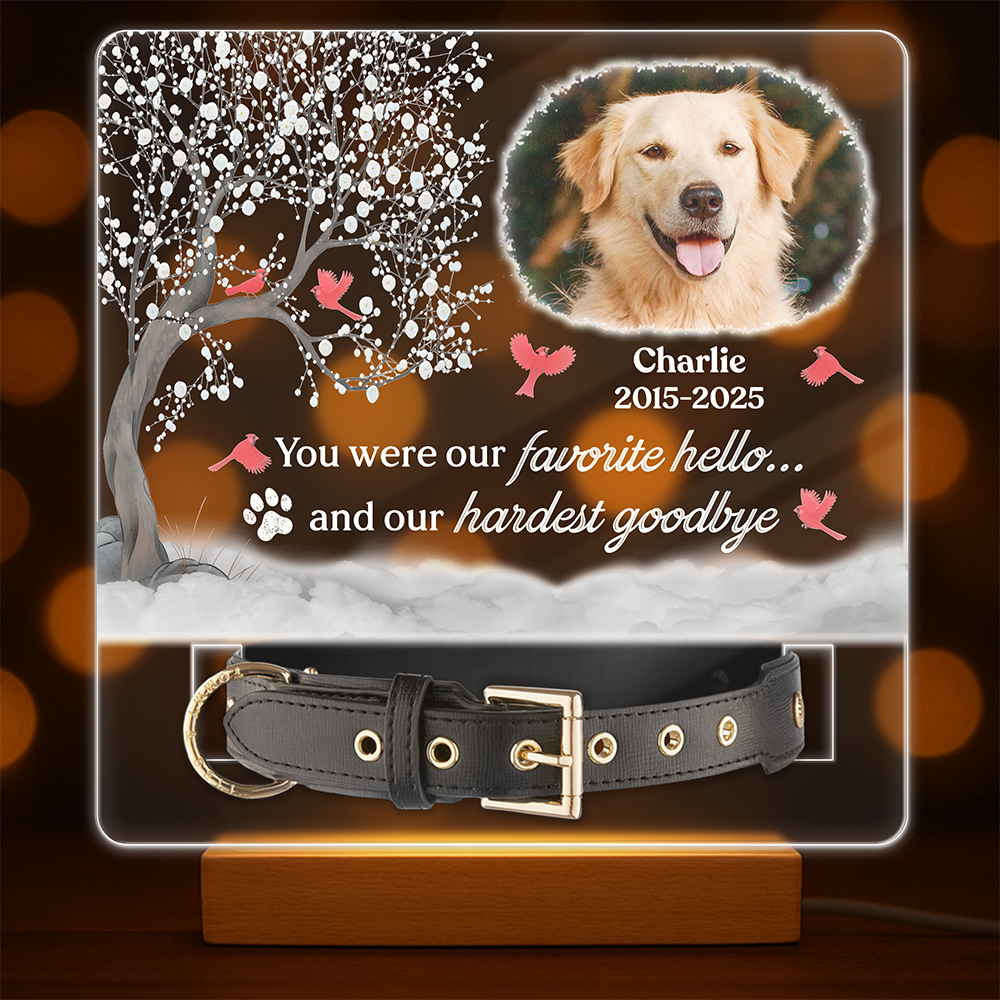 You Were My Favorite Hello And My Hardest Goodbye - Custom Pet Memorial Acrylic Collar Frame CH07 896082