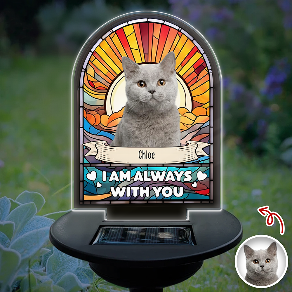 Custom Dog Cat Photo I'm Always With You Memorial Solar Light TH10 896055