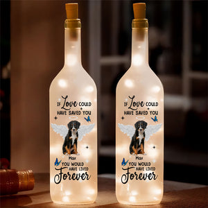 Custom Photo You Were My Favorite Hello and My Hardest Goodbye Bottle Lamp CH07 895720