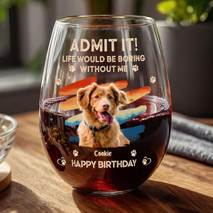 Custom Photo Admit It Life Would Be Boring Without Us Wine Glass HA75 892124