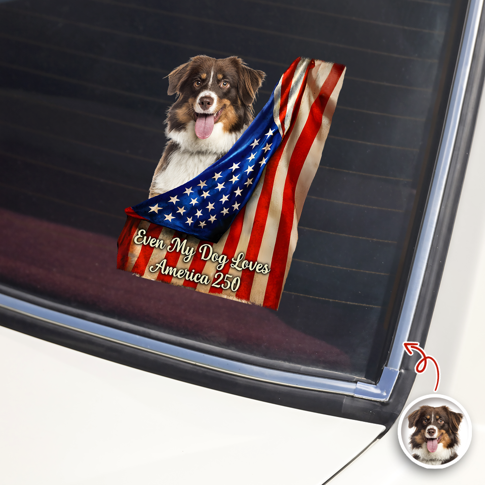 Custom Photo Even My Dogs Love America 250 Car Window Decal Sticker HA75 920516