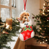 Custom Photo Peeking Dog On Christmas Stocking Personalized Acrylic Ornament Christmas Gift For Dog Lovers CH07 896280