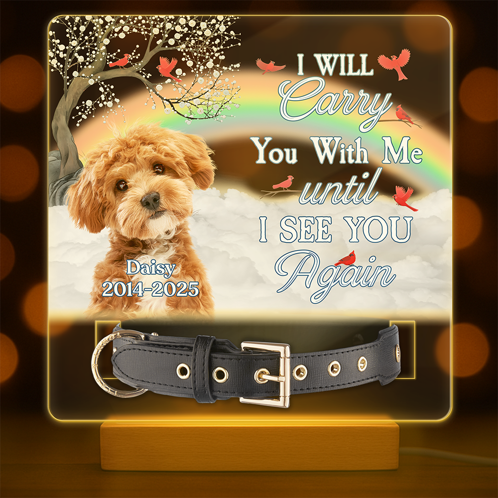 One By My Side Forever In My Heart Custom Dog Cat Memorial Photo Acrylic Collar Frame CH07 896088
