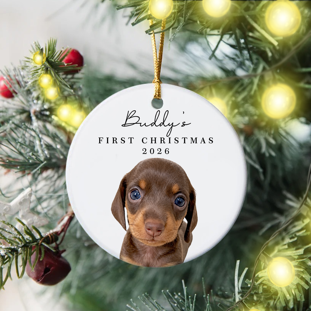 Custom Dog Photo & Name First Christmas Ceramic Ornament HO82 903980