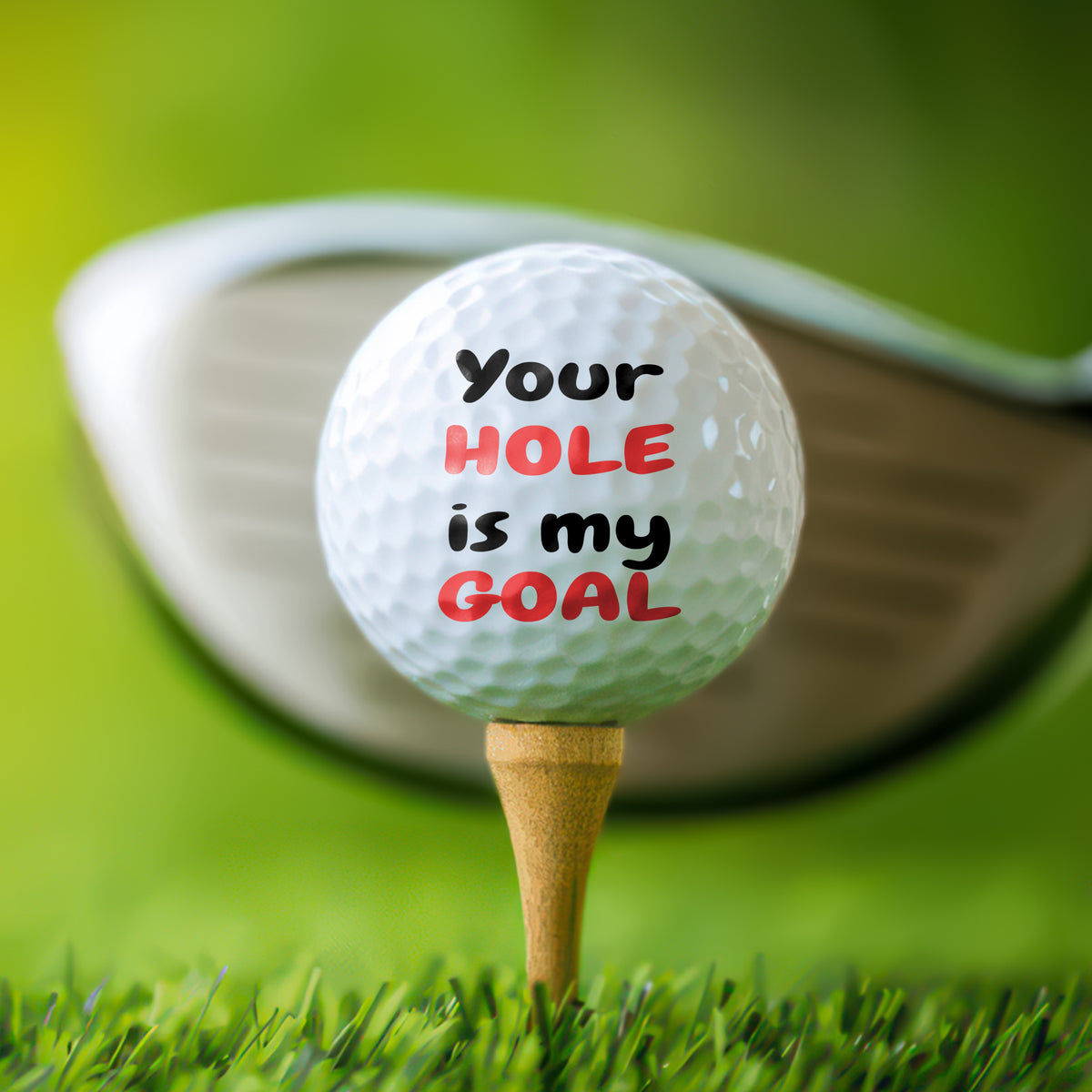 Personalized Golf Humor Golf Balls Gift For Golf Lovers CH07 911224