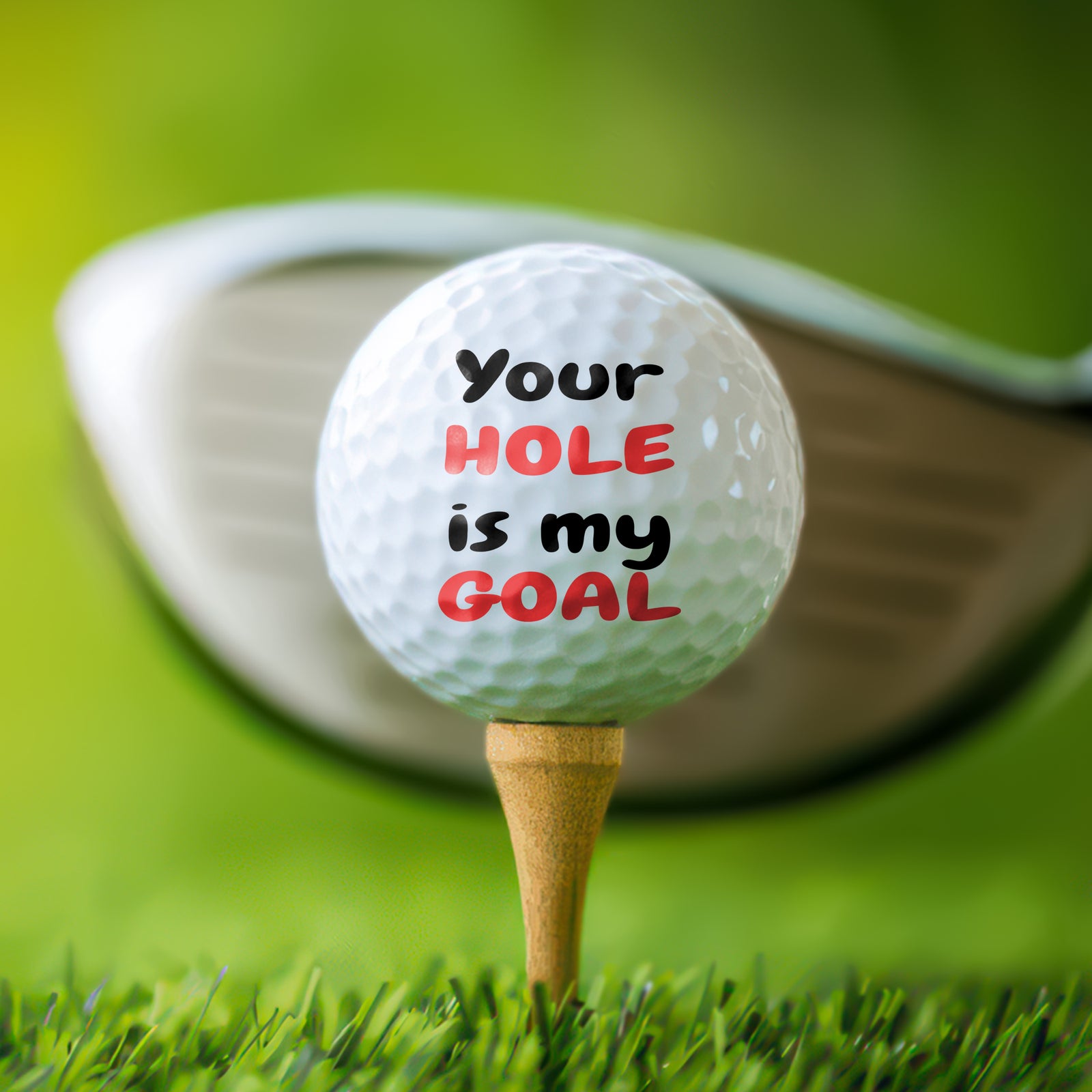 Personalized Golf Humor Golf Balls Gift For Golf Lovers CH07 911224