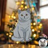 Custom Cute Cat Photo Portrait Christmas Decoration Acrylic Ornament LM32 895715