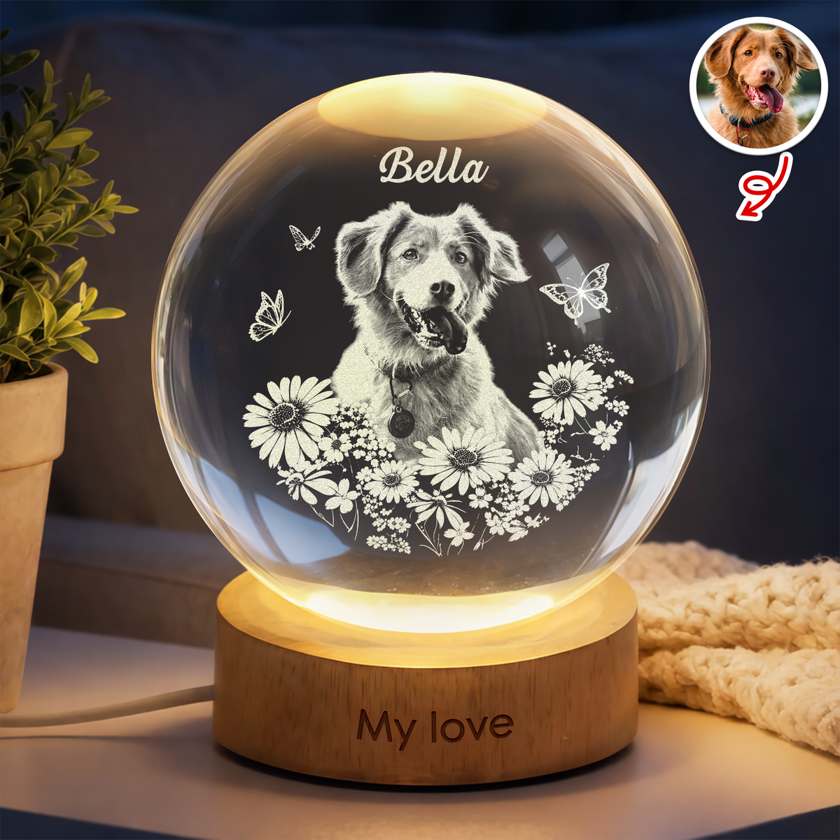 Custom Photo Pet Forever in My Heart Memorial Personalized Engraved Crystal Ball LED Night Light HA75 921884