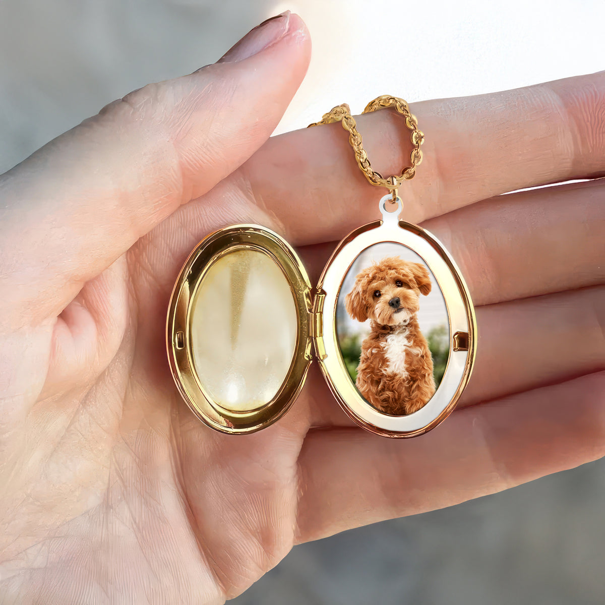 Custom Pet Photo You Left Paw Prints On My Heart Memorial Locket Necklace LM32 893323