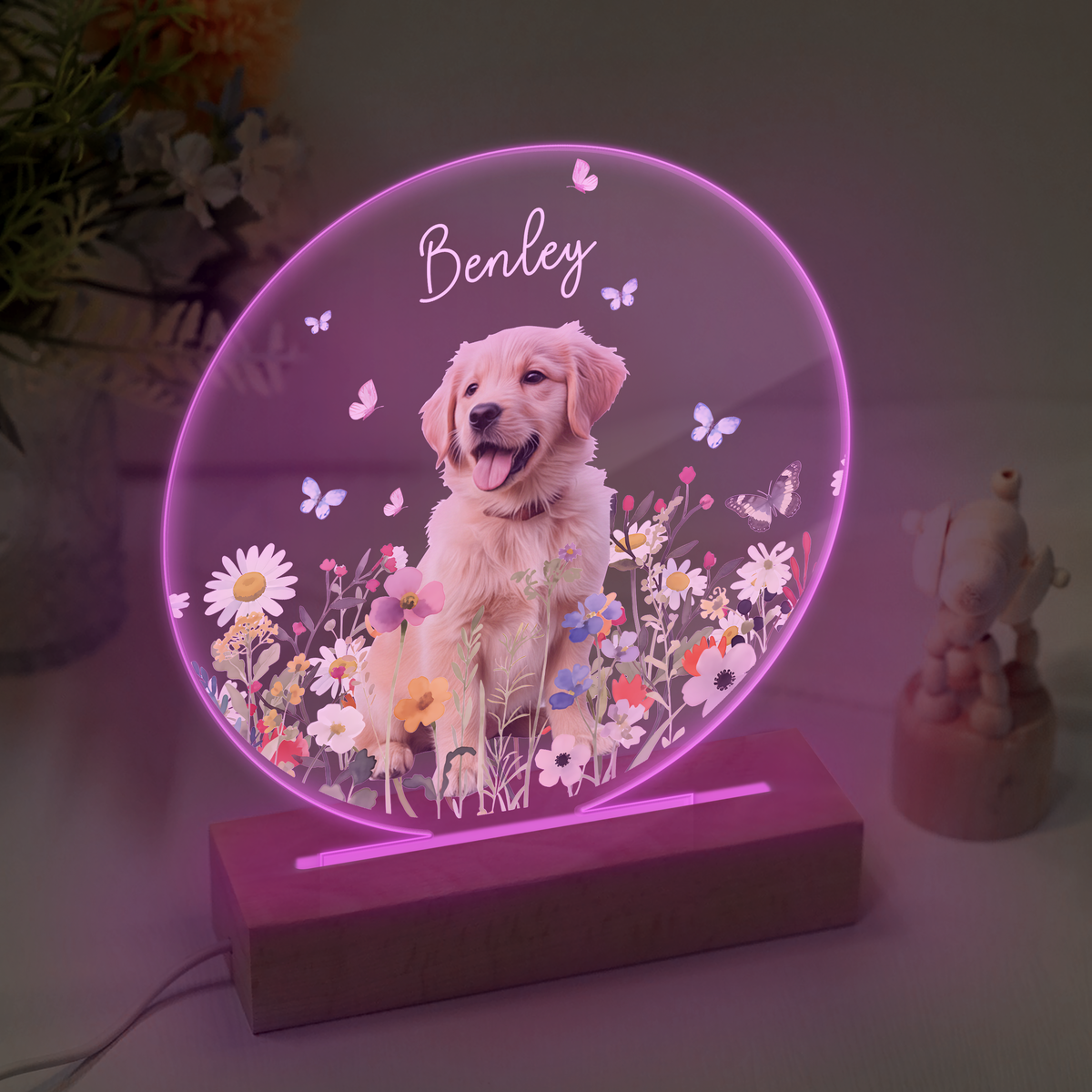 Custom Pet Portrait Photo LED Night Light Gift For Pet Memorial TH10 894487