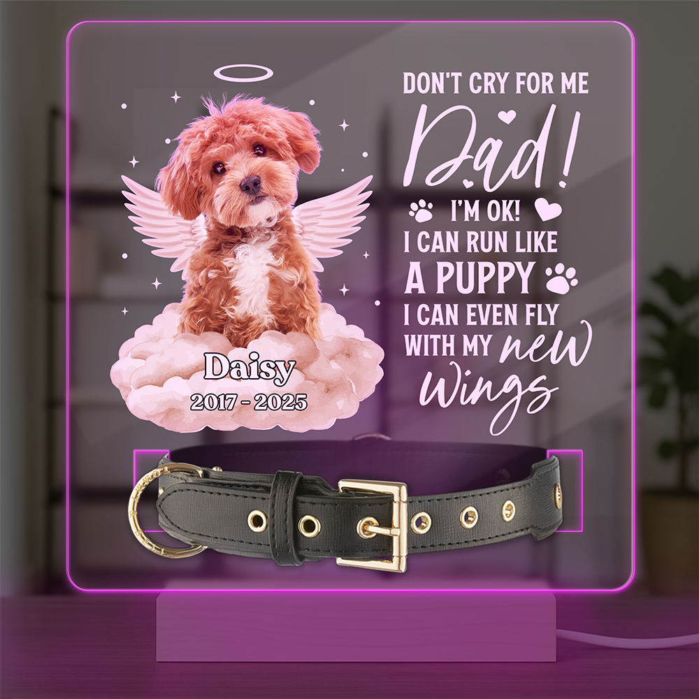Custom Photo I Can Run Like A Puppy, I Can Even Fly With My New Wings - Memorial Personalized Acrylic Collar Frame CH07 896090
