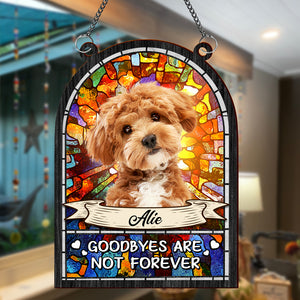 Custom Dog Cat Photo Not A Day Goes By That You Are Not Missed Suncatcher Ornament HO82 891196