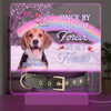One By My Side Forever In My Heart Custom Dog Cat Memorial Photo Acrylic Collar Frame CH07 896088