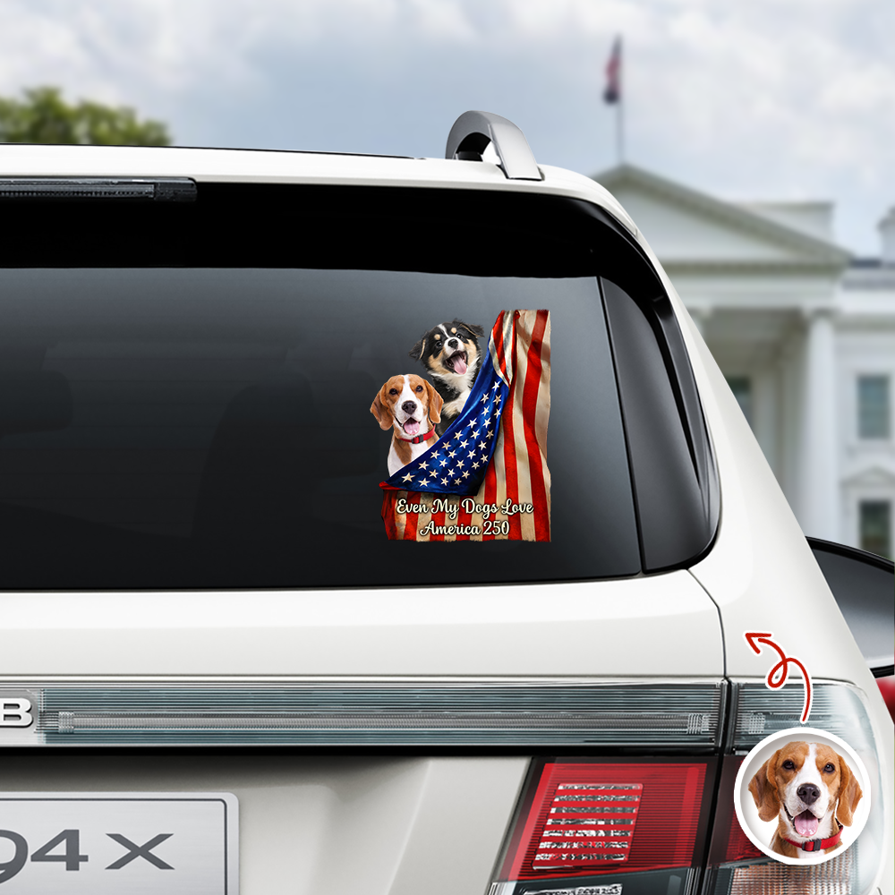 Custom Photo Even My Dogs Love America 250 Car Window Decal Sticker HA75 920516