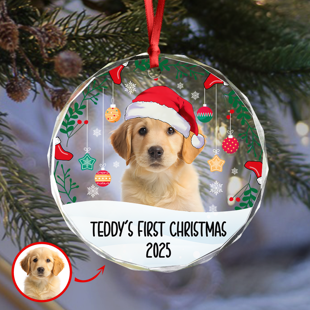 Custom Photo First Christmas Glass Ornament For Dog Lover TH10 894283