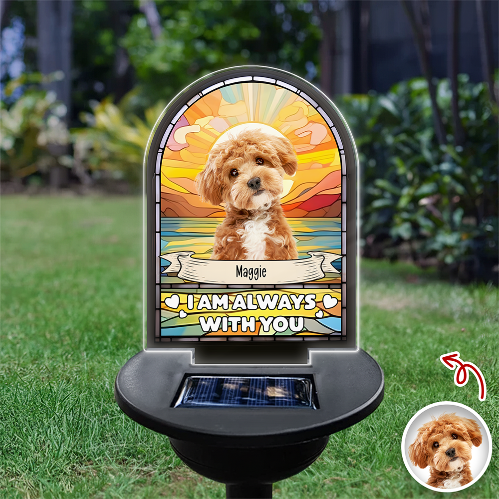 Custom Dog Cat Photo I'm Always With You Memorial Solar Light TH10 896055
