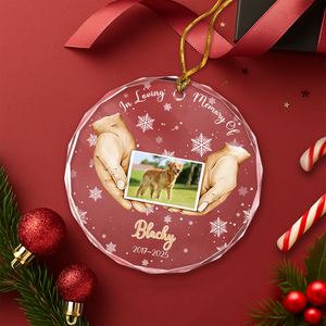 Custom Pet Photo Memorial Glass Ornament TH10 894999