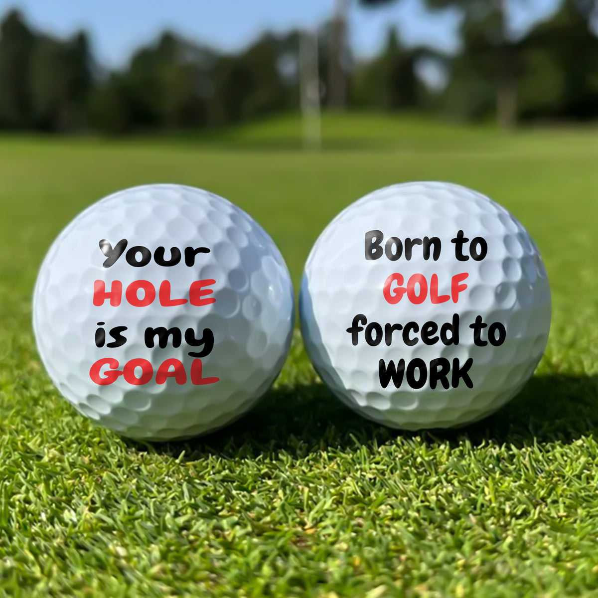 Personalized Golf Humor Golf Balls Gift For Golf Lovers CH07 911224