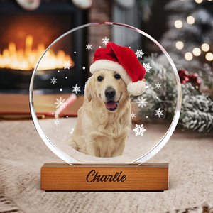 Custom Photo With Snowflake For Pet Lover Round Acrylic Frame Block TH10 894313