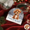 Custom Photo Forever in My Heart Memorial Acrylic Snow Globe HA75 898020