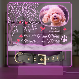 You Were My Favorite Hello And My Hardest Goodbye - Custom Pet Memorial Acrylic Collar Frame CH07 896082