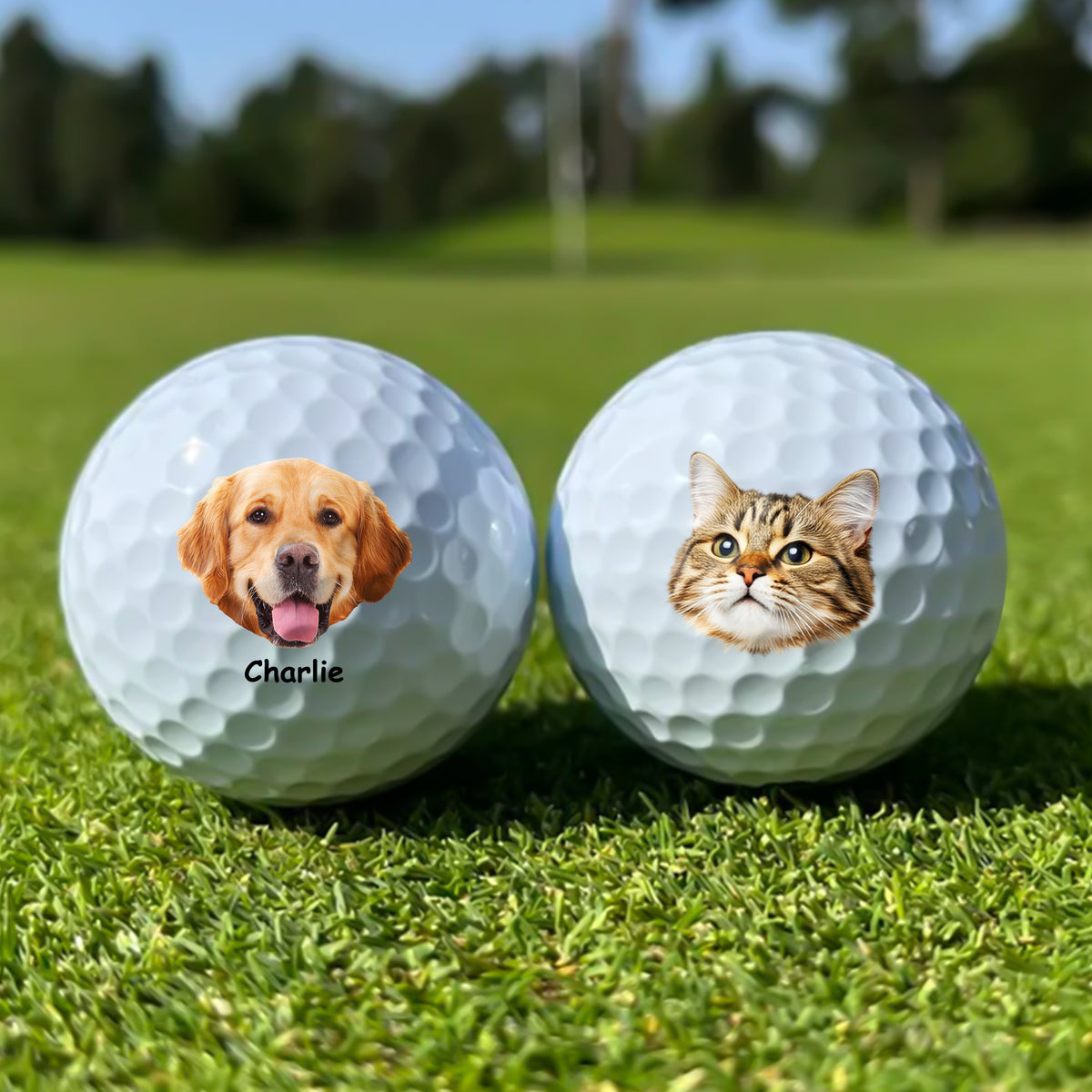 Custom Dog Photo And Name Golf Ball For Golf Lovers TH10 898225