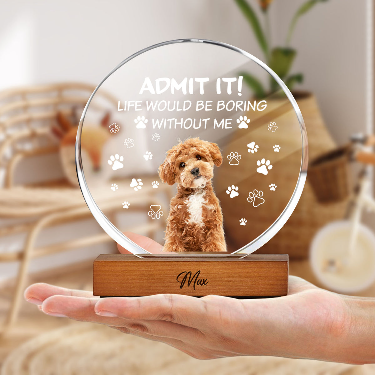 Custom Dog Cat Photo Life Would Be Boring Without Me Round Acrylic Frame Block HO82 894190
