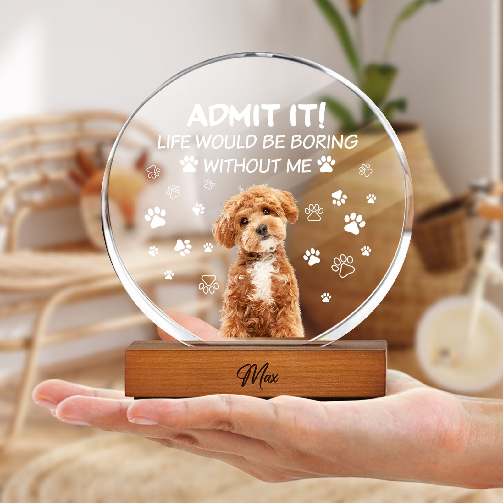 Custom Dog Cat Photo Life Would Be Boring Without Me Round Acrylic Frame Block HO82 894190