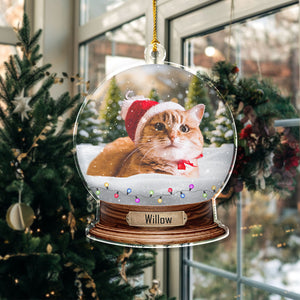 Custom Photo Cat Snowglobe Acrylic Ornament HA75 891600