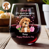 Custom Pet Photo Life Would Be Boring Without Me Wine Glass Mother's Day Gift CH07 910916