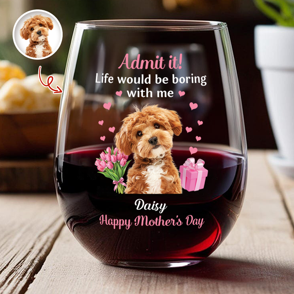 Custom Pet Photo Life Would Be Boring Without Me Wine Glass Mother's Day Gift CH07 910916