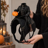 Halloween Horseman Pet Rider Costume, Pumpkin Knight Gothic Cat Outfit LM32 670247